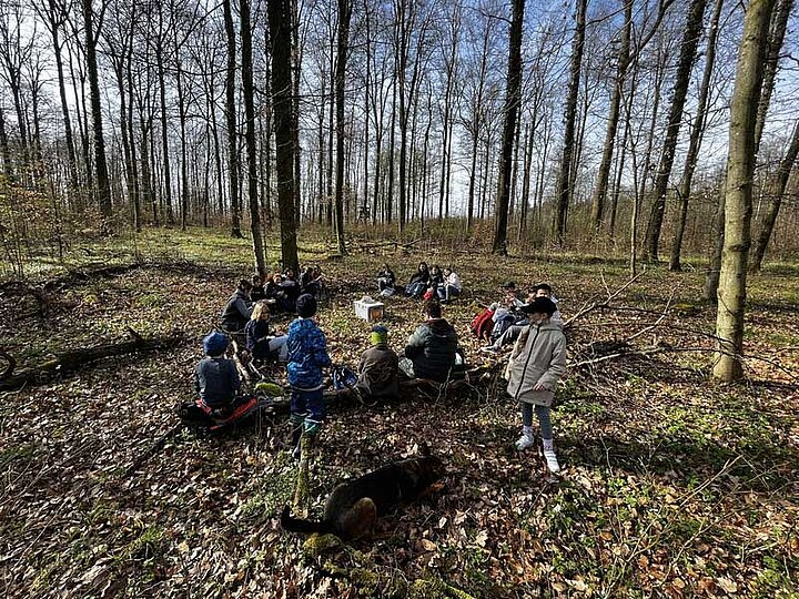 Waldbesuch der Klasse 4b