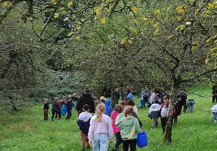 Kinder bei der Apfelernte