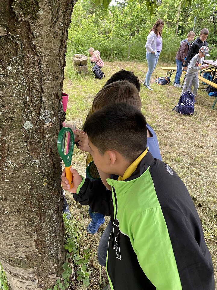 Schüler bei den Projekttagen