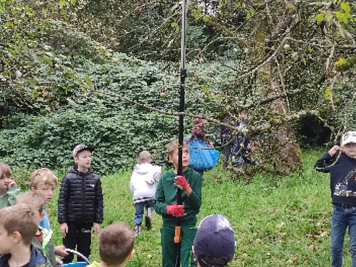 Kinder bei der Apfelernte auf der Streuobstwiese