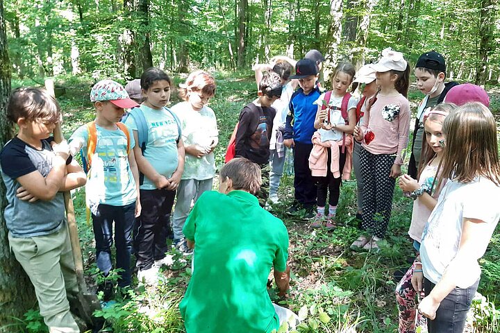 Klasse 2 a und b auf Entdeckungstour im Eppinger Wald