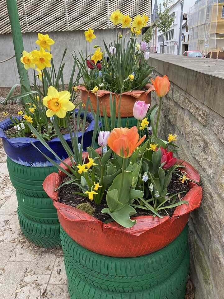 Blumen im "Reifentöpfen"